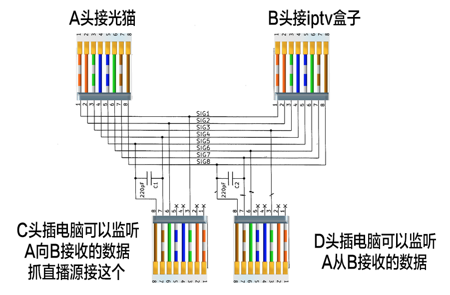 fb5c81ed3a22-1