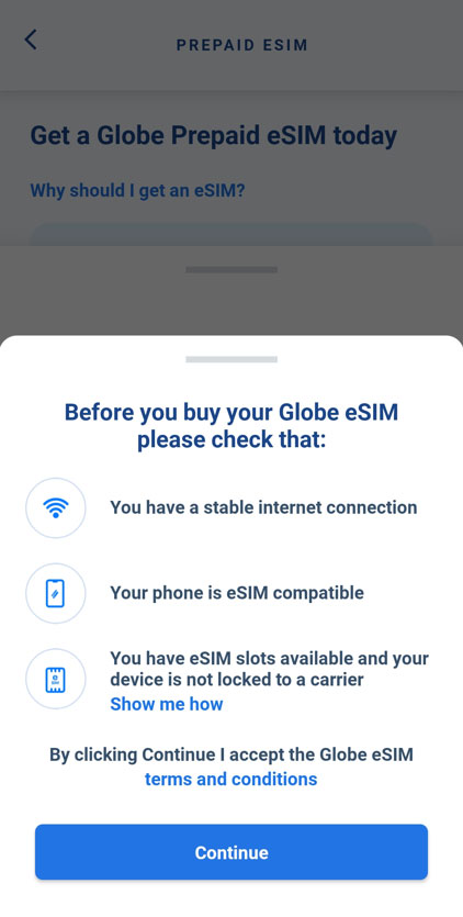 globe-06 globe-06